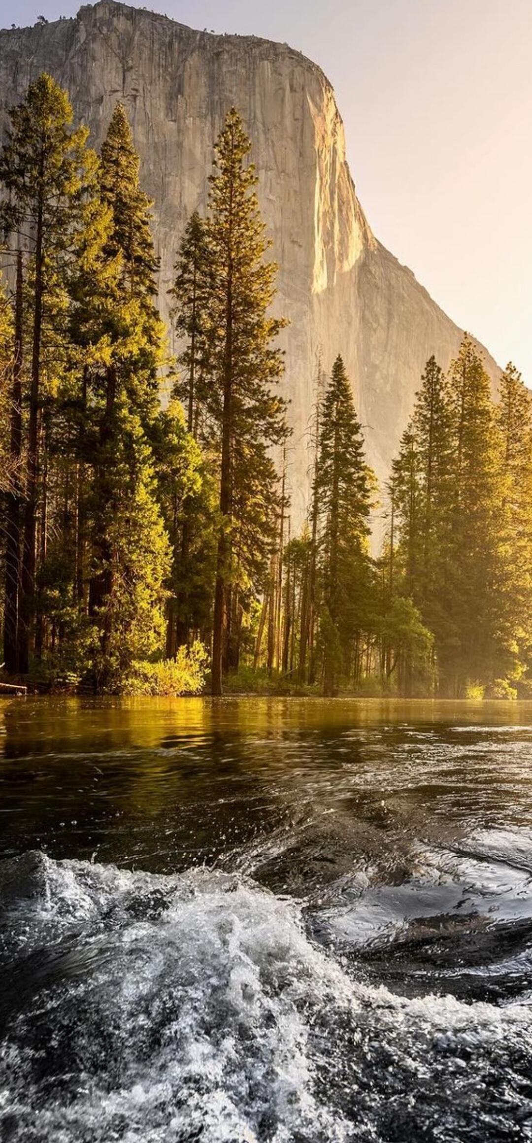 A scenic riverside scene with tall evergreen trees, a flowing river or waterfall in the foreground, and a towering cliff in the background.