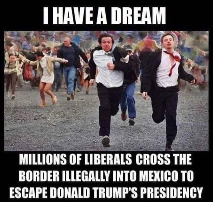 I HAVE A DREAM MILLIONS OF LIBERALS CROSS THE BORDER ILLEGALLY INTO MEXICO TO ESCAPE DONALD TRUMP'S PRESIDENCY