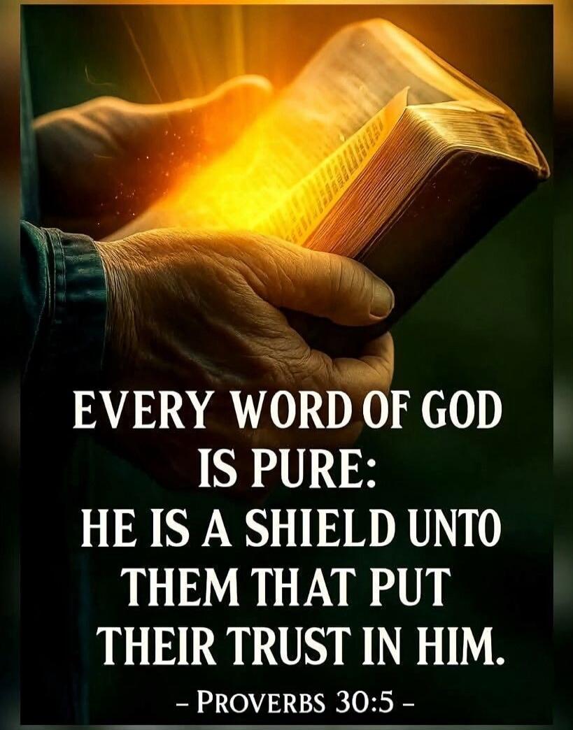 EVERY WORD OF GOD IS PURE: HE IS A SHIELD UNTO THEM THAT PUT THEIR TRUST IN HIM. - PROVERBS 30:5 -