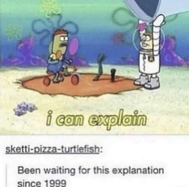 sketti pizza turtiefish Been waiting for this explanation since 1909