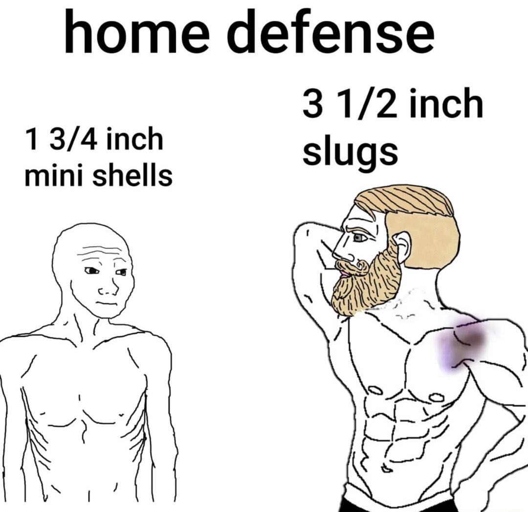home defense 312inch 134inch slugs mini shells