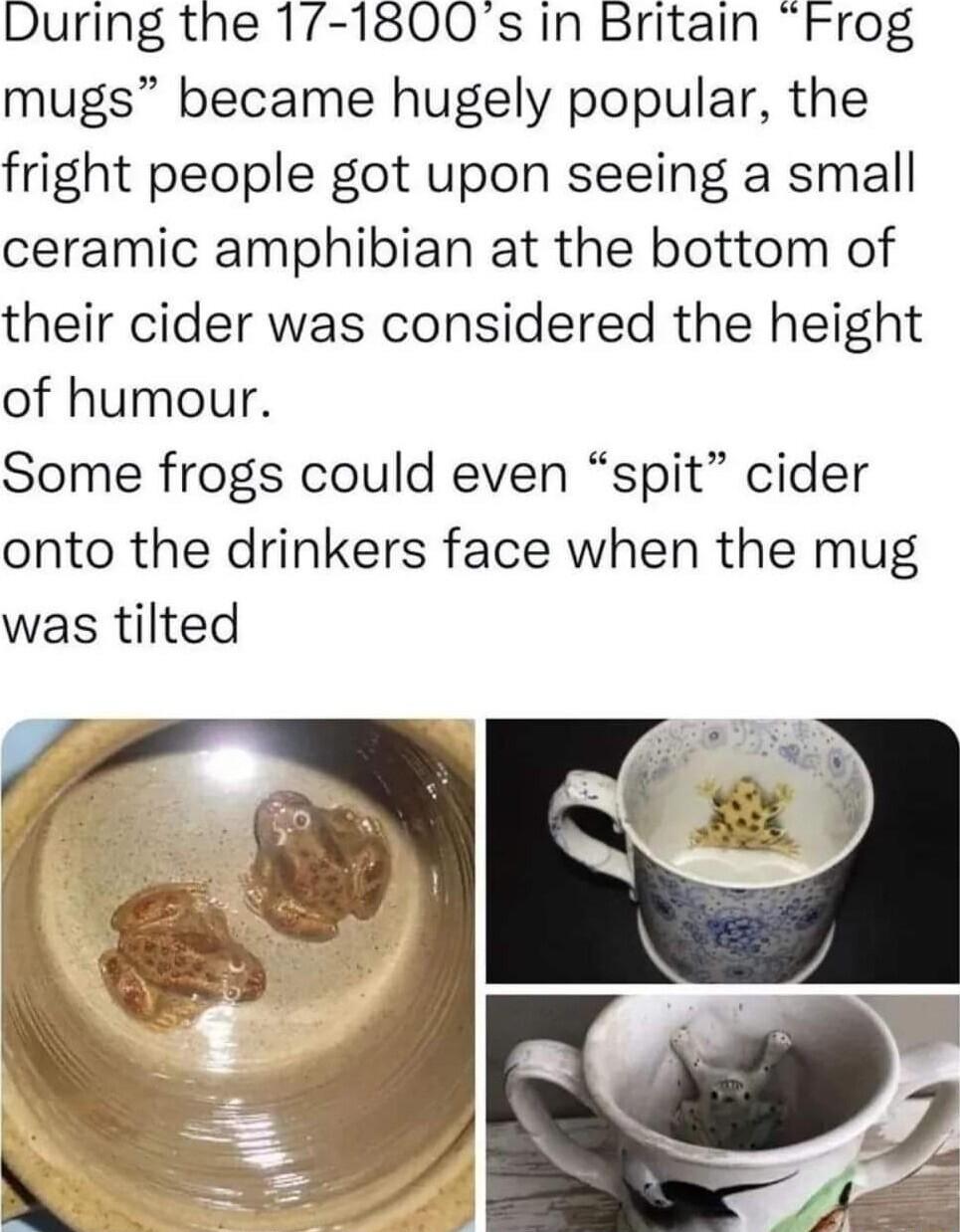 During the 1 1800s In Britain Frog mugs became hugely popular the fright people got upon seeing a small ceramic amphibian at the bottom of their cider was considered the height of humour Some frogs could even spit cider onto the drinkers face when the mug was tilted