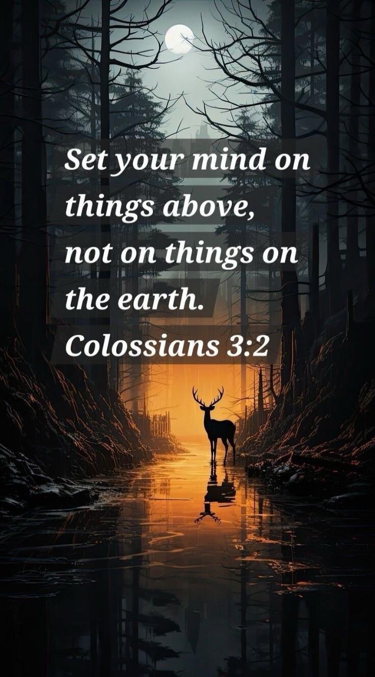Set your mind on things above, not on things on the earth. Colossians 3:2
