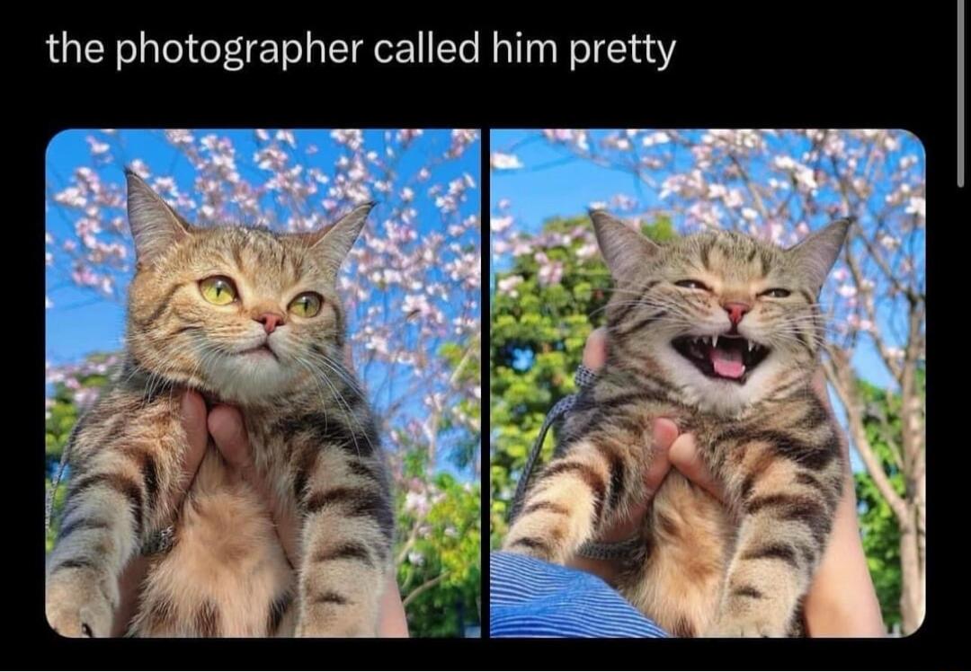 the photographer called him pretty