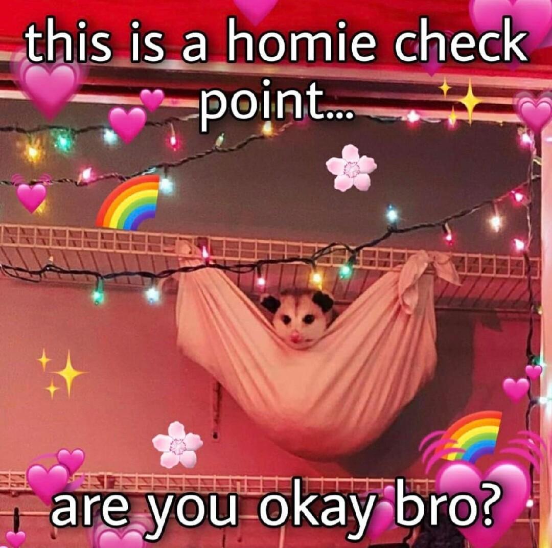 thisis_a homle chegk G Fareyou o kayib ro_f