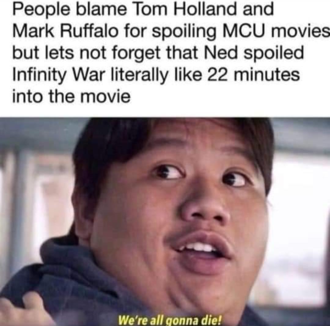 People blame Tom Holland and Mark Ruffalo for spoiling MCU movies but lets not forget that Ned spoiled Infinity War literally like 22 minutes into the movie Were all gonna die