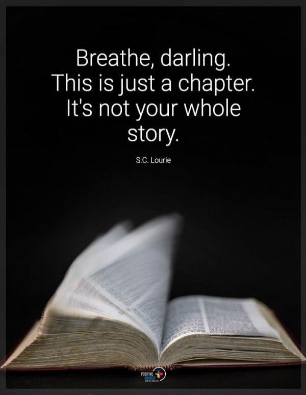 Breathe, darling. This is just a chapter. It's not your whole story. S.C. Lourie