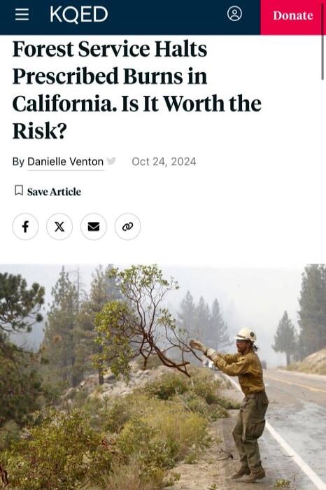 LD Emm Forest Service Halts Prescribed Burns in California Is It Worth the Risk By Danielle Venton Oct 24 2024 save Article