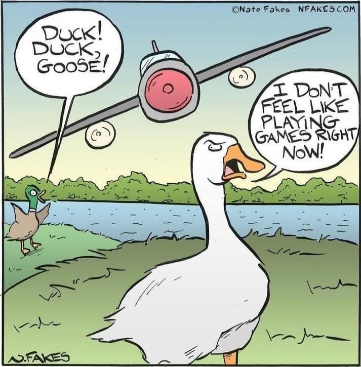 Duck! Duck! Goose! I don't feel like playing games right now!