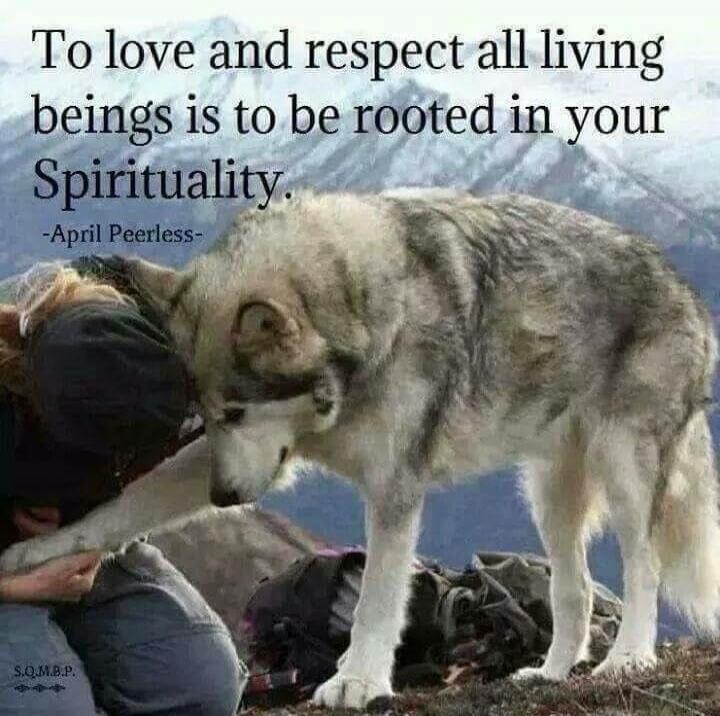 To love and respect all living beings is to be rooted in your Spirituality. -April Peerless-