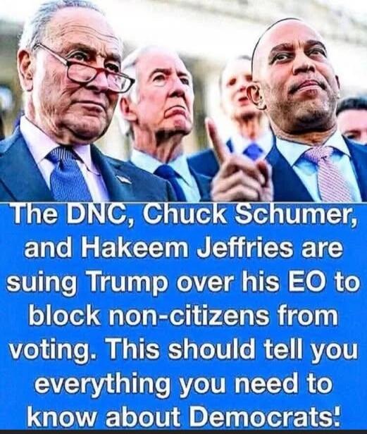The DNC, Chuck Schumer, and Hakeem Jeffries are suing Trump over his EO to block non-citizens from voting. This should tell you everything you need to know about Democrats.