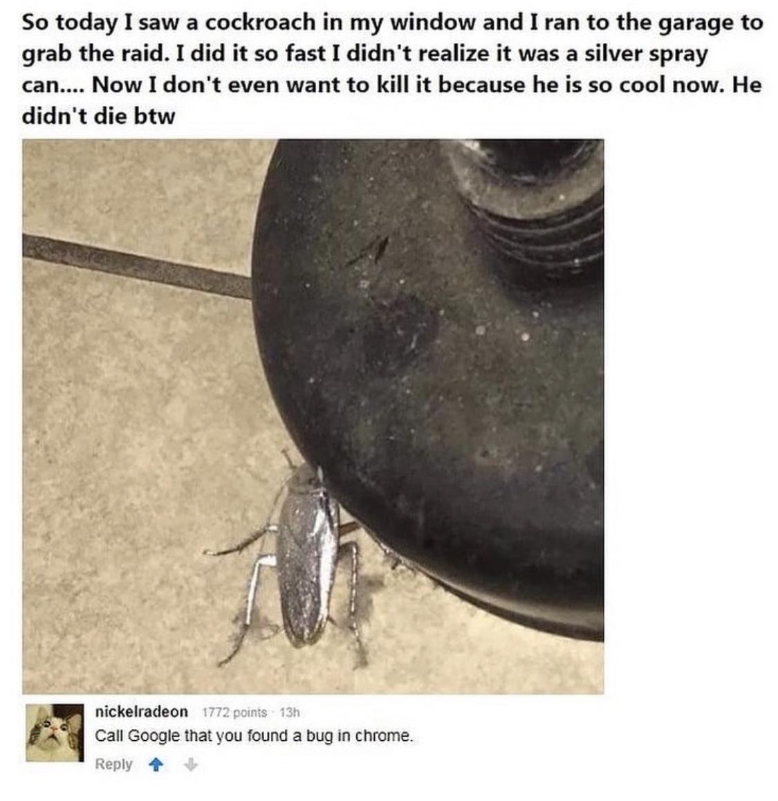 So today I saw a cockroach in my window and I ran to the garage to grab the raid I did it so fast I didnt realize it was a silver spray can Now I dont even want to kill it because he is so cool now He didnt die btw nickelradeon 2 points A Call Google that you found a bug in chrome Reply 4