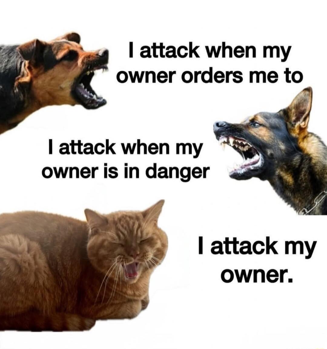 I attack when my owner orders me to I attack when my owner is in danger I attack my owner.