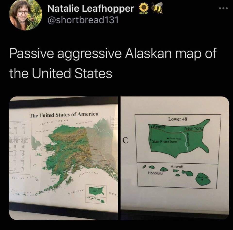 Natalie Leafhopper shortbread131 ESSIVEEle eSV RA I ol e Yol ERVICIO R EIES A The United States of America