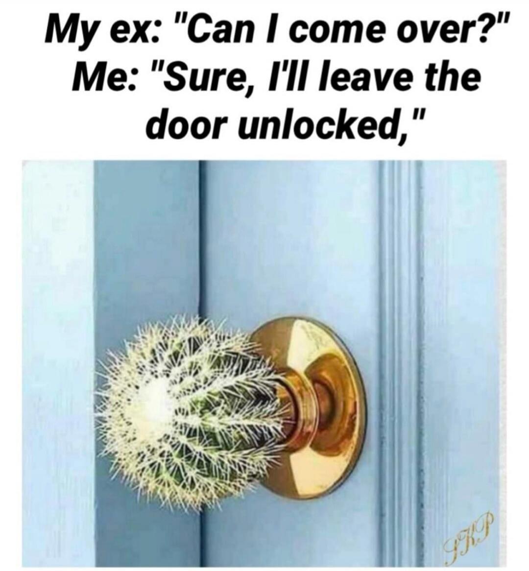 My ex: 