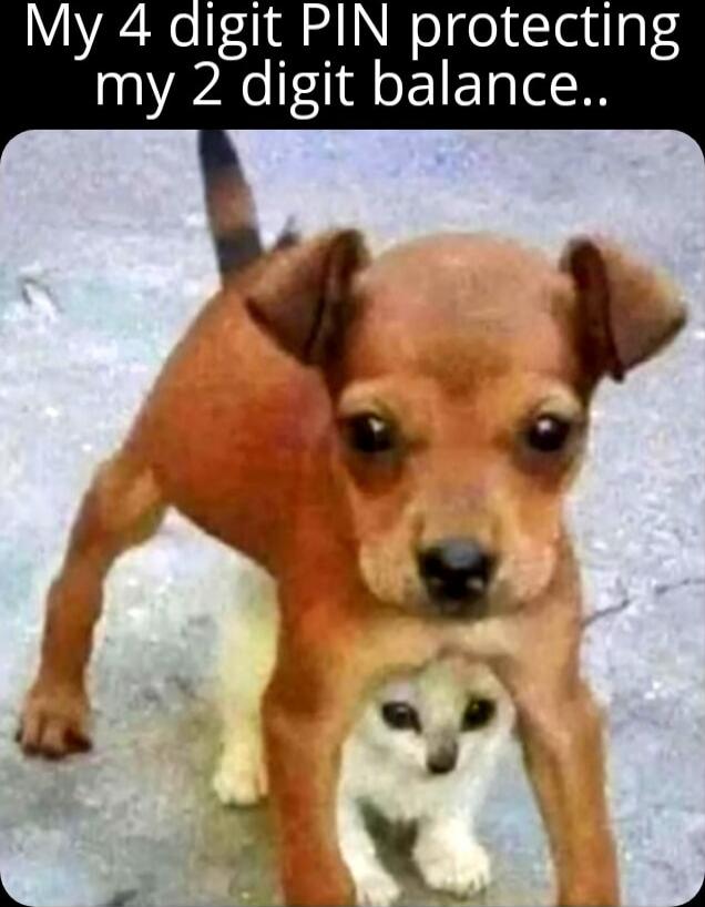 My 4 digit PIN protecting my 2 digit balance..