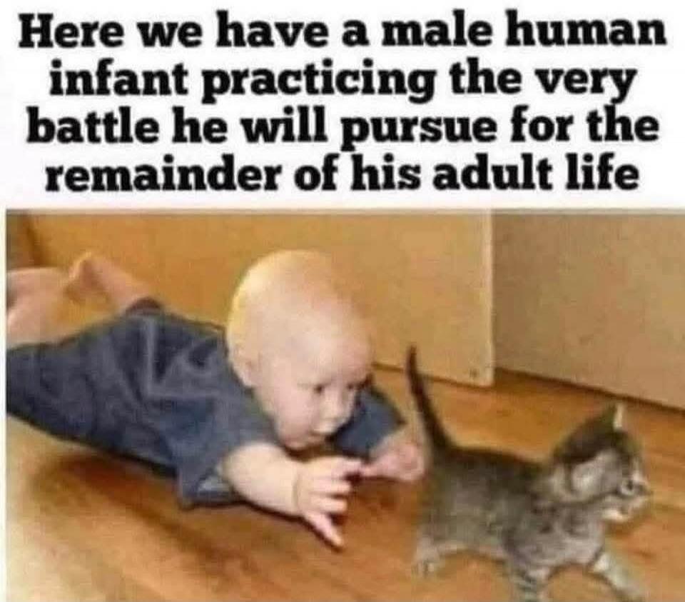 Here we have a male human infant practicing the very battle he will pursue for the remainder of his adult life