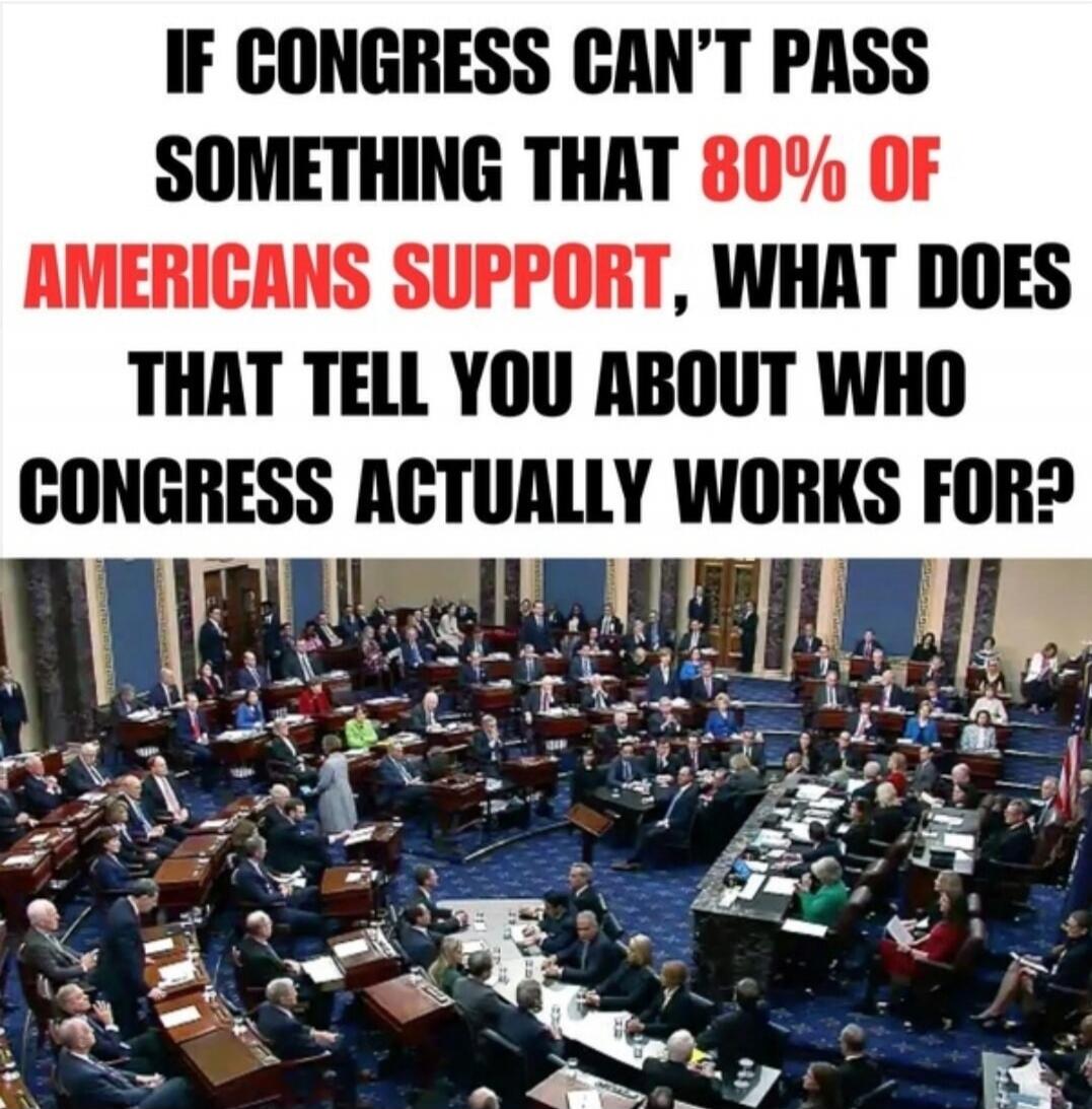 IF CONGRESS CAN'T PASS SOMETHING THAT 80% OF AMERICANS SUPPORT, WHAT DOES THAT TELL YOU ABOUT WHO CONGRESS ACTUALLY WORKS FOR?