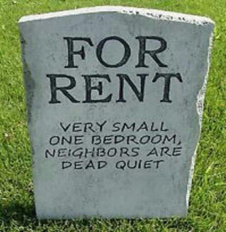 FOR RENT VERY SMALL ONE BEDROOM, NEIGHBORS ARE DEAD QUIET