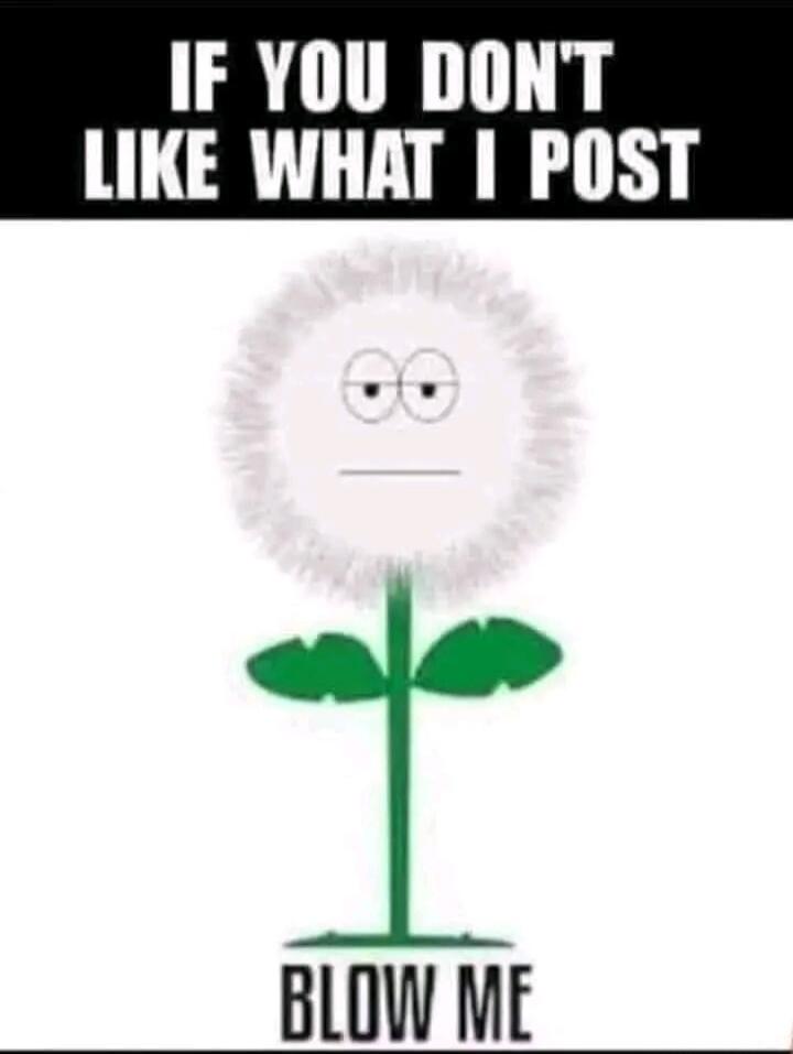 IF YOU DON'T LIKE WHAT I POST BLOW ME