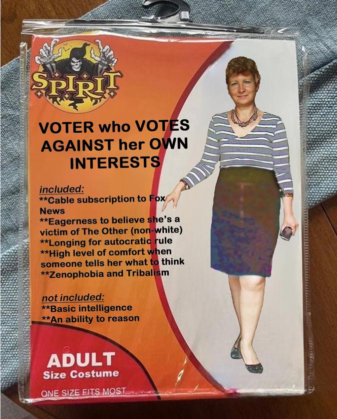 ADULT Size Costume