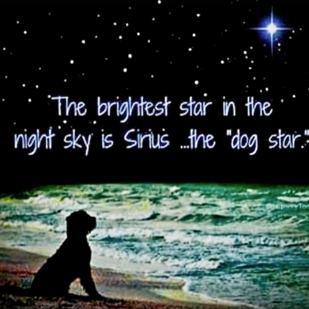 The brightest star in the night sky is Sirius ... the 