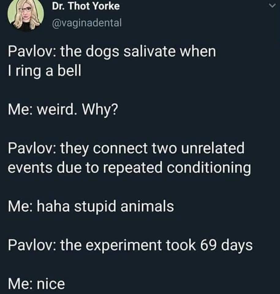 Dr Thot Yorke VELELERIE 22 VA 013 g e Jo IS I SRV p LT ring a bell VCSVEET1 o YAV o V4 Pavlov they connect two unrelated AT SN VIR ol T o F Yo MefolaLe og gle VM LR ERS ol s IETalTag IS Pavlov the experiment took 69 days Me nice