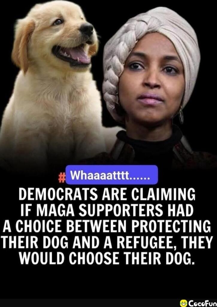 # Whaaatttt.......
DEMOCRATS ARE CLAIMING IF MAGA SUPPORTERS HAD A CHOICE BETWEEN PROTECTING THEIR DOG AND A REFUGEE, THEY WOULD CHOOSE THEIR DOG.