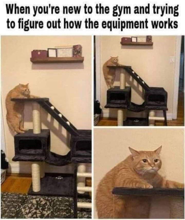 When youre new to the gym and trying to figure out how the equipment works