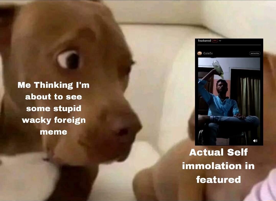L Me Thinking Im about to see some stupid wacky foreign meme immolation in featured