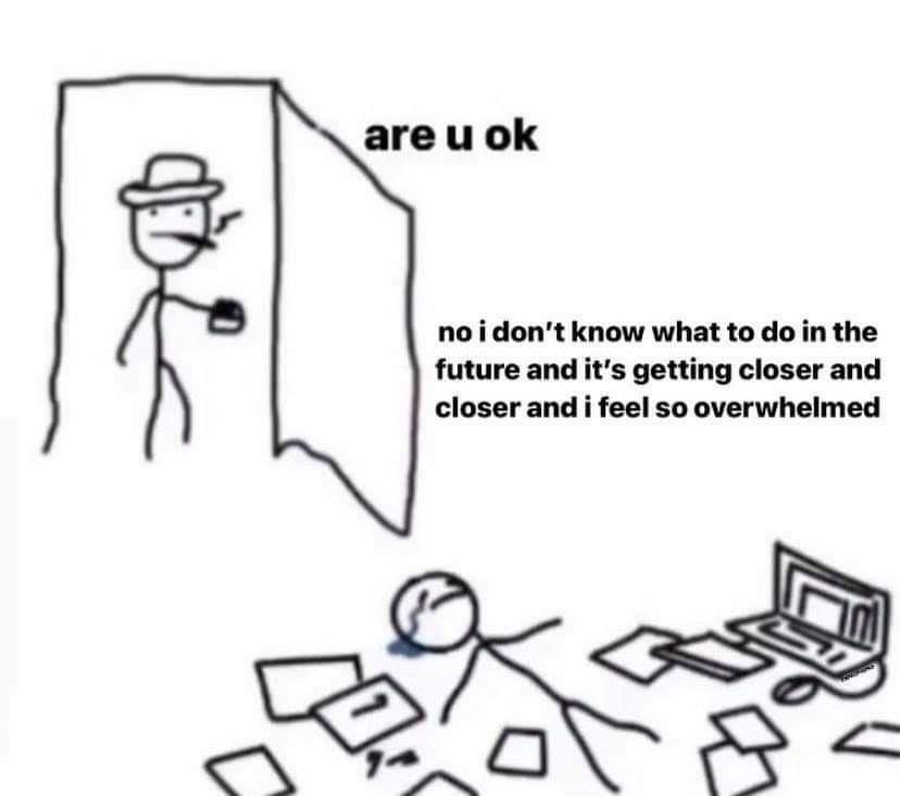 are u ok no i dont know what to do in the future and its getting closer and closer and i feel so overwhelmed