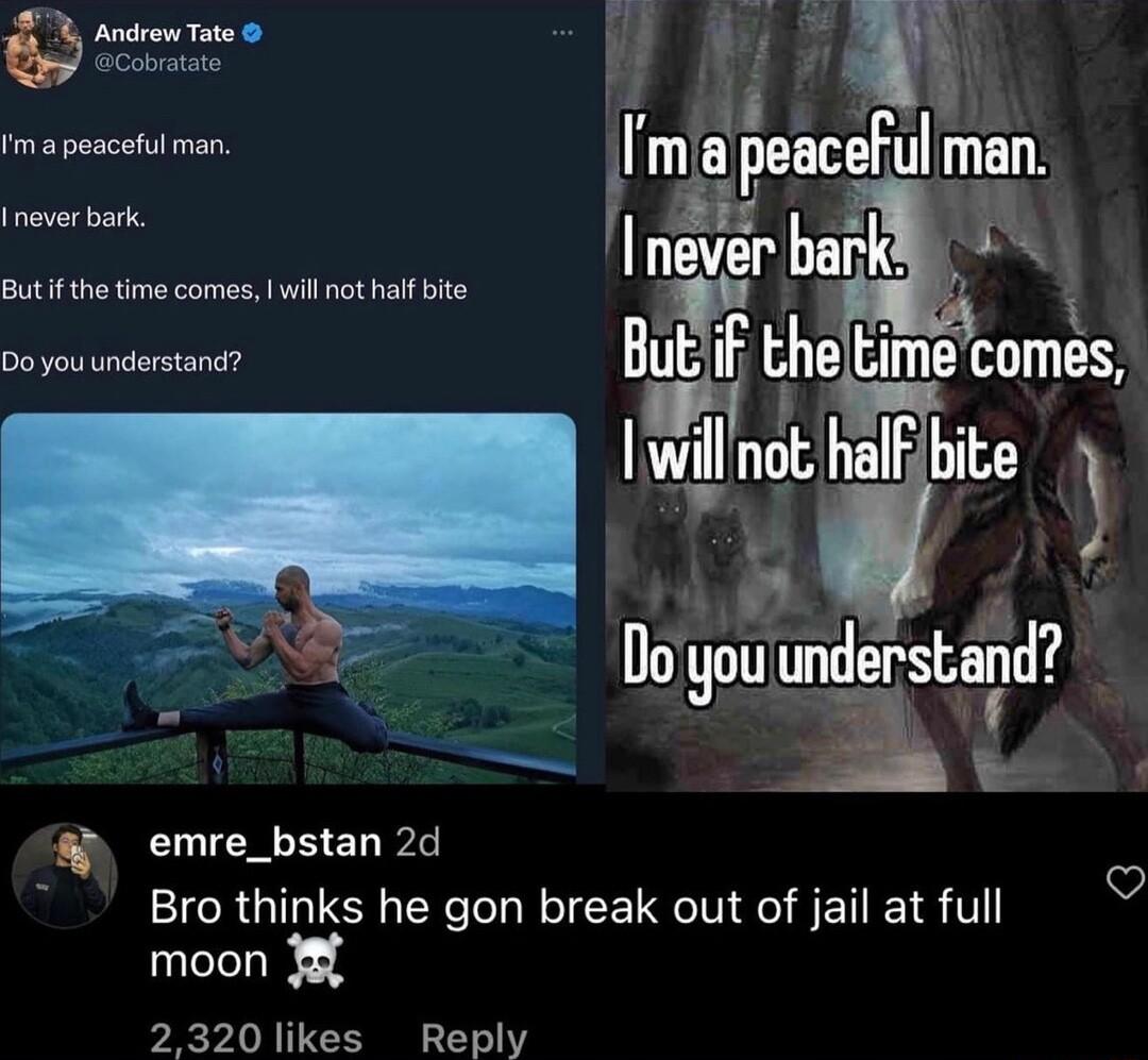 Inover bark Butif the time comes wil nothal bite e BUE F the tlme comes wlnqh halFbite e Doyou und shad 1 emre_bstan 2d 2 Bro thinks he gon break out of jail at full moon 18 2320 likes Reply