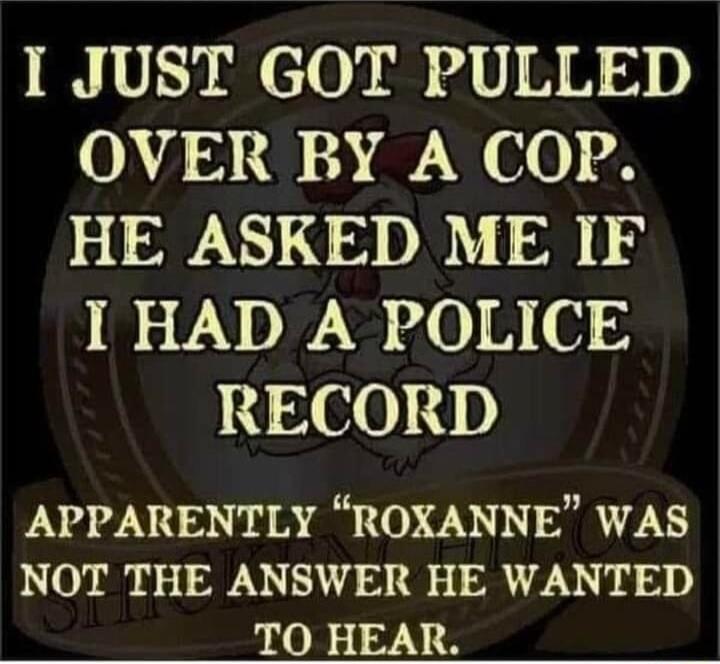 I JUST GOT PULLED 004 01180 W 00 HE ASKED ME IF 2 V N DN 0 7 114 260 4 APPARENTLY ROXANNE WAS NOT THE ANSWER HE WANTED TO HEAR