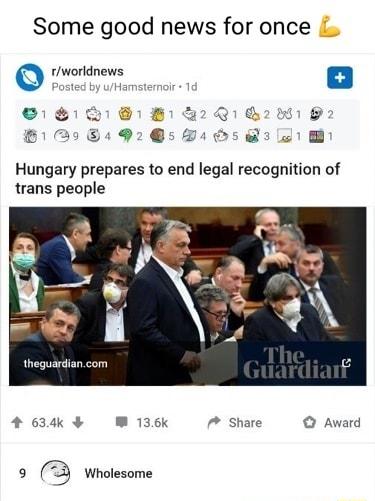 Some good news for once e rworldnews Pos Hamst Hungary prepares to end legal recognition of trans people 4 634k W 136k 7 Share Award 9 Wholesome