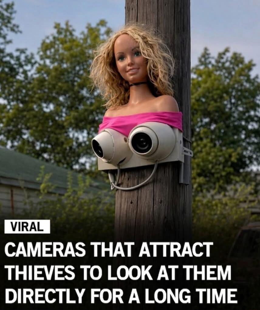 VIRAL CAMERAS THAT ATTRACT THIEVES TO LOOK AT THEM DIRECTLY FOR A LONG TIME