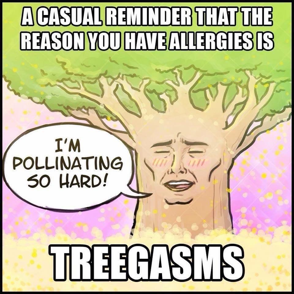 ACASUALREMINDERTHATTHE REASONVOUHAVEALLERGIESIIS POLLINATING 50 HARD TBEEGASMS