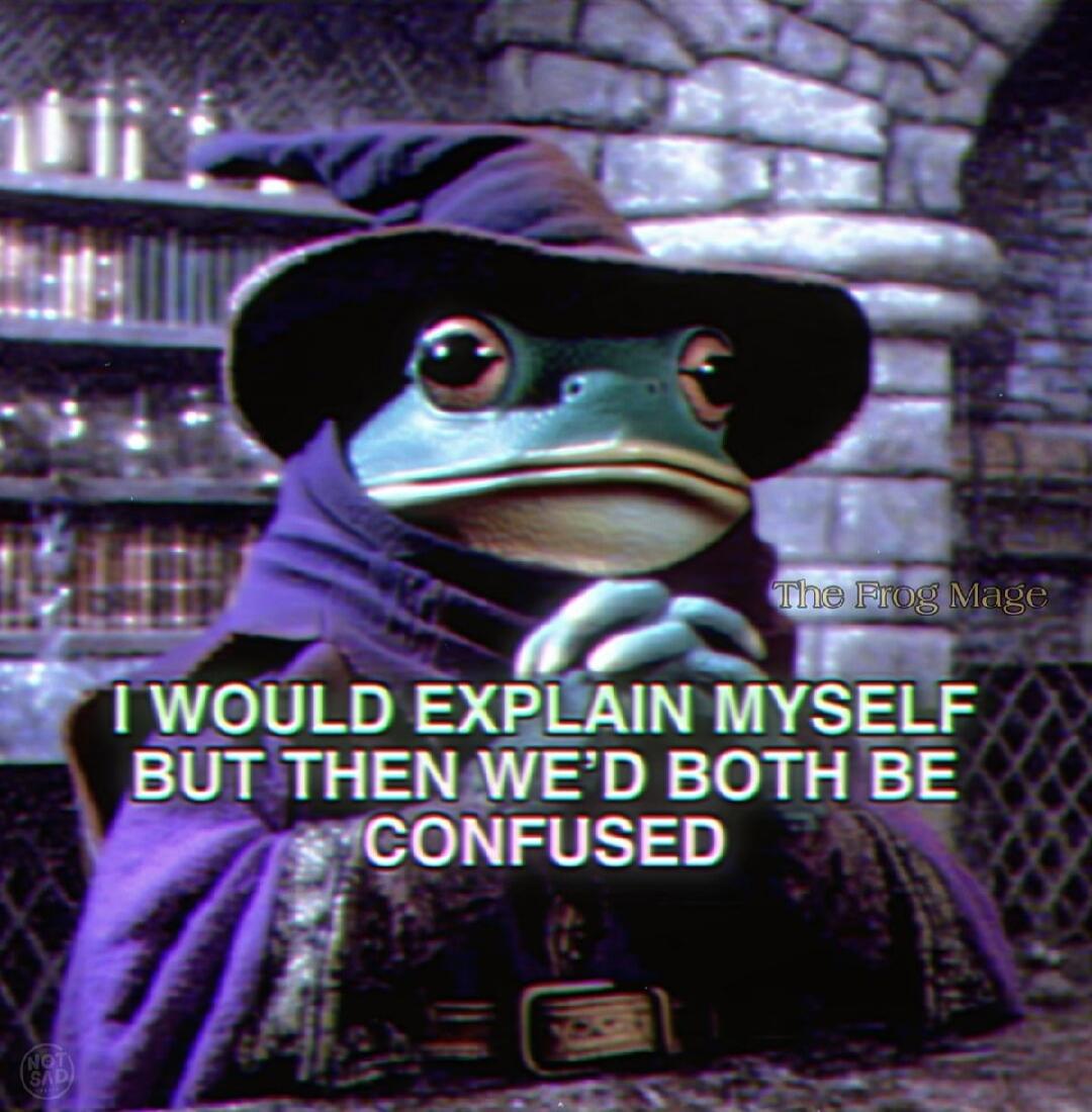 I WOULD EXPLAIN MYSELF BUT THEN WE'D BOTH BE CONFUSED. The Frog Mage. NOT SAD.