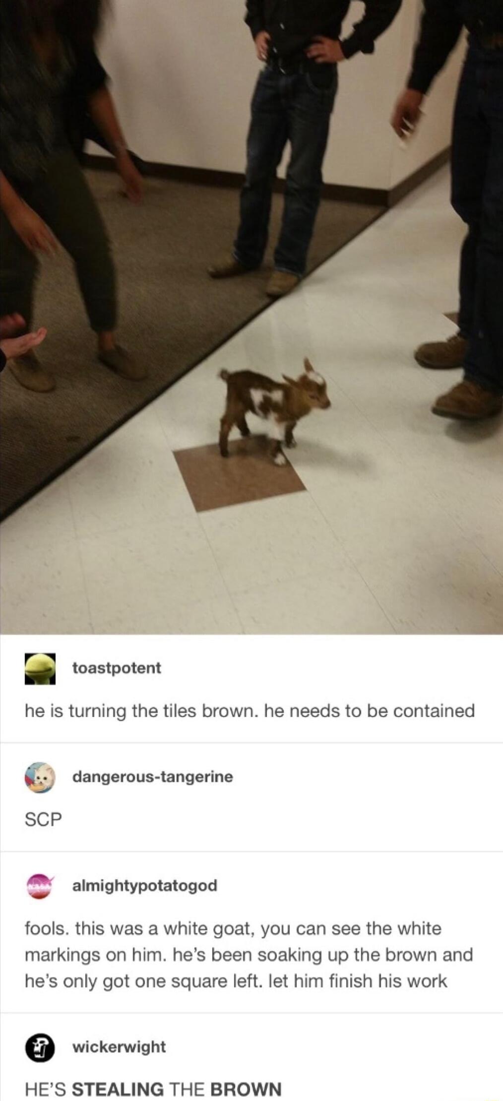 ra toastpotent P he is turning the tiles brown he needs to be contained dangerous tangerine SCP almightypotatogod fools this was a white goat you can see the white markings on him he s been soaking up the brown and hes only got one square left let him finish his work wickerwight HES STEALING THE BROWN