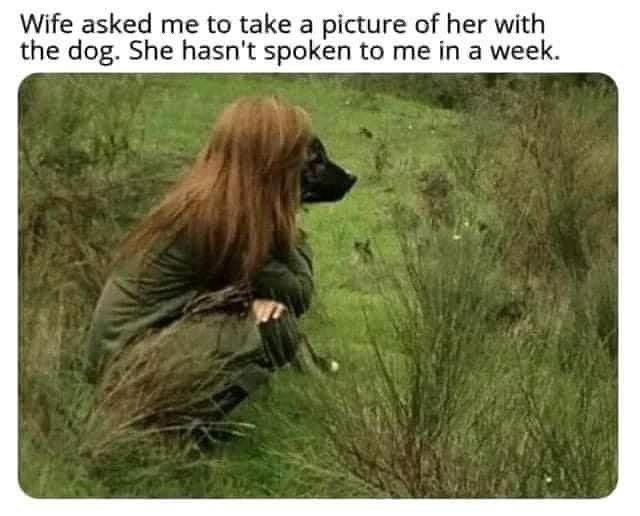 Wife asked me to take a picture of her with the dog She hasnt spoken to me in a week