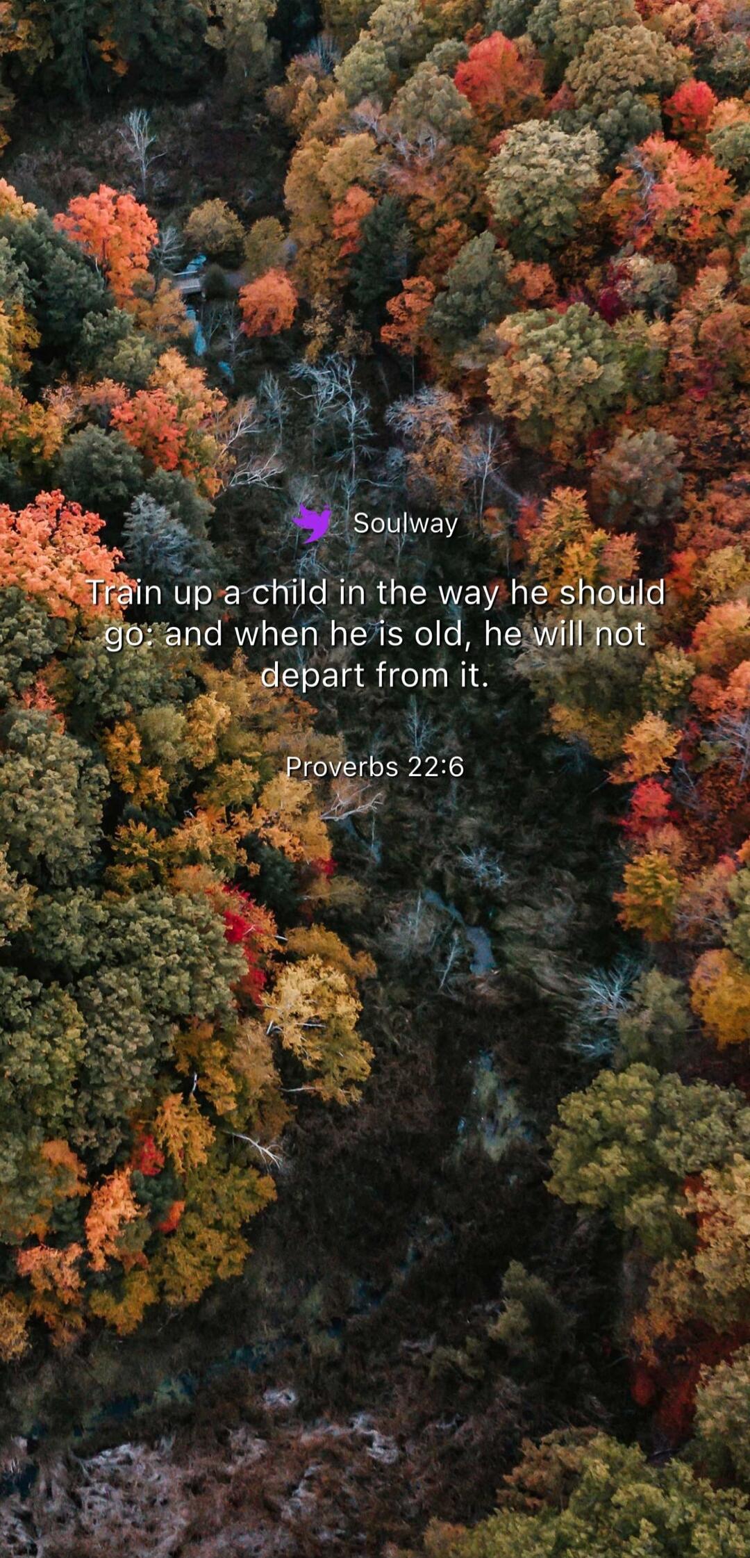 Soulway Train up a child in the way he should go: and when he is old, he will not depart from it. Proverbs 22:6