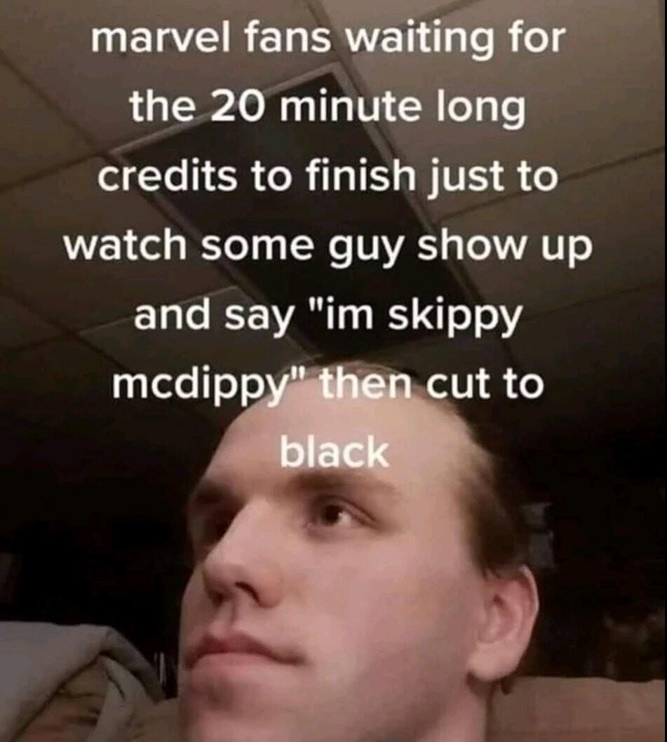 ELT fnsw the 20 minute long credits to finish just to watch some guy show up and say im skippy mcdippydihen cut to