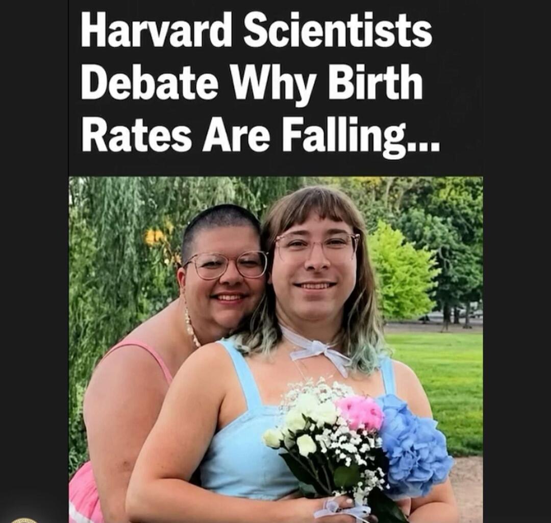 Harvard Scientists Debate Why Birth Rates Are Falling...