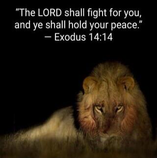 The LORD shall fight for you, and ye shall hold your peace.