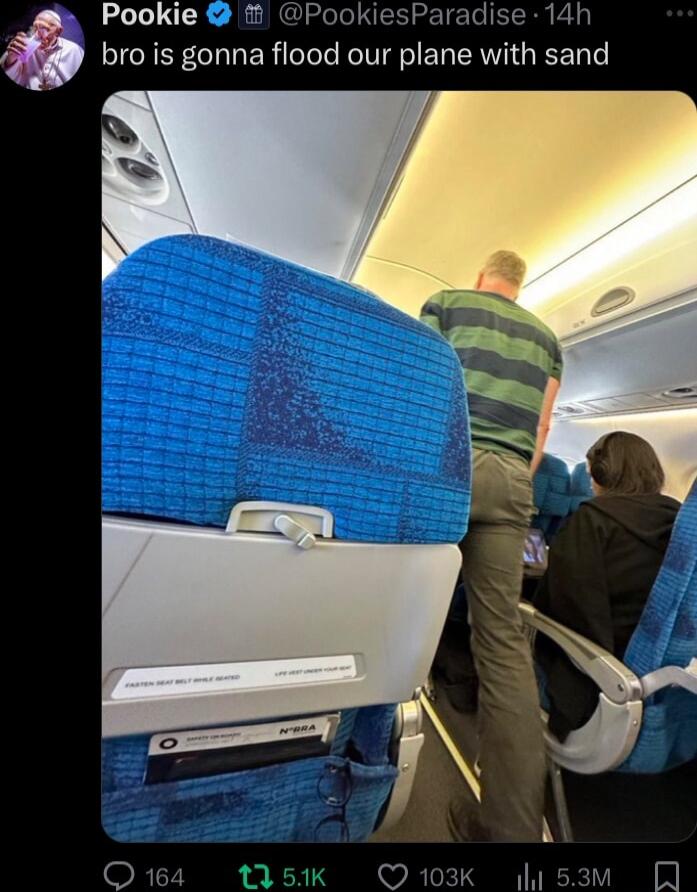 p Pookie PookiesParadise 14h bro is gonna flood our plane with sand