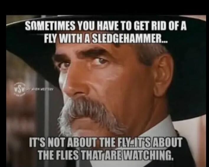 SOMETIMES YOU HAVE TO GET RID OF A FLY WITH A SLEDGEHAMMER... IT'S NOT ABOUT THE FLY... IT'S ABOUT THE FLIES THAT ARE WATCHING. wSw SAY WHEN WESTERN