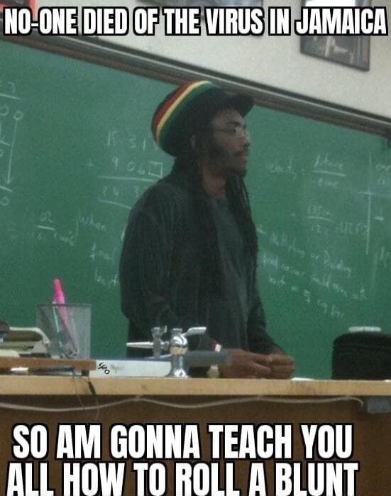 A S0 AM GONNA TEACH YoU ALL HOW TO ROLL I BLUNT