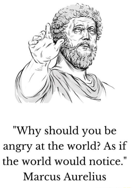 Why should you be angry at the world As if the world would notice Marcus Aurelius