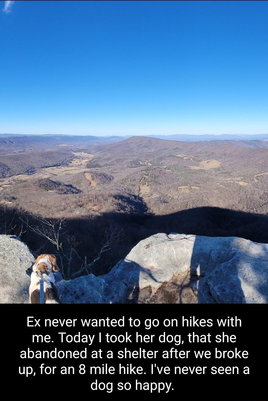Ex never wanted to go on hikes with me Today took her dog that she abandoned at a shelter after we broke up for an 8 mile hike Ive never seen a dog so happy