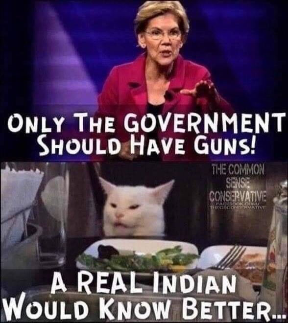 ONLY THE GOVERNMENT SHOULD HAVE GUNS! THE COMMON SENSE CONSERVATIVE A REAL INDIAN WOULD KNOW BETTER...