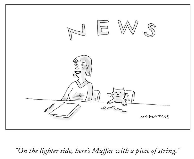 On the lighter side heres Muffin with a piece of string